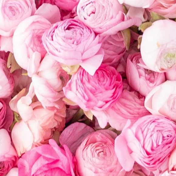 Meet your Posher. - Picture 1 of 1